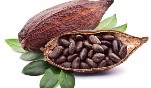 Créme de la Créme Chocolat Body & Daycream 120ml – Bild 3